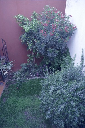 Hermosa Casa 5 Amb con Jardin en Parque Chacabuco
