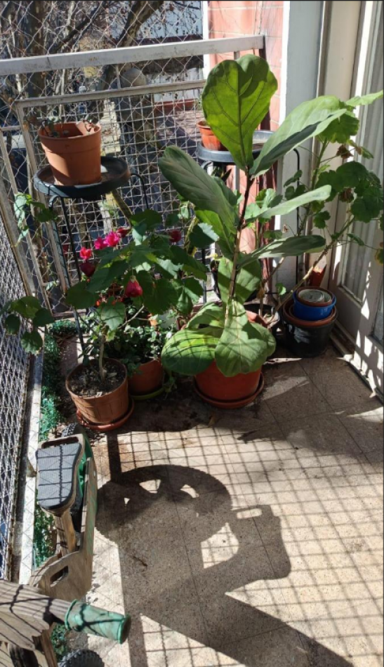 En venta depto de 4 amb con dependencia al frente en Almagro