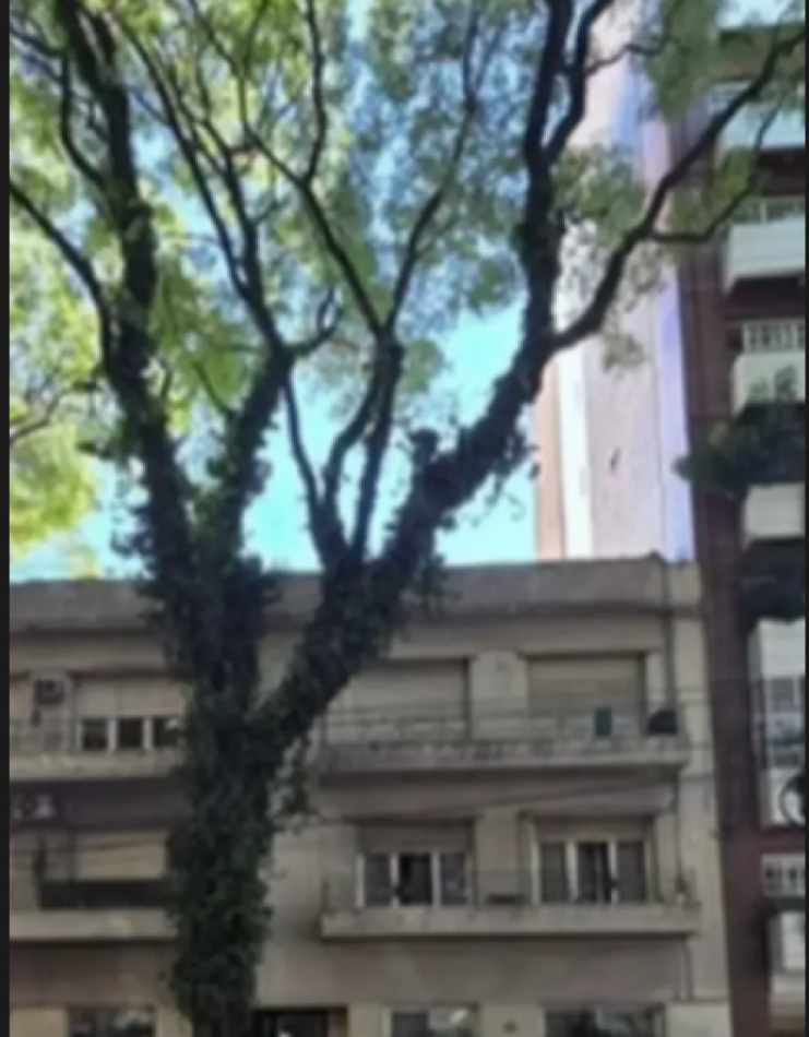 En venta Depto 3 amb a la calle x escalera en Caballito